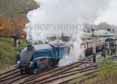 Photograph of BITTERN - 4464 BITTERN at Bluebell Railway on 01/11/15