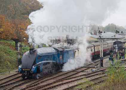 Purchase photo of 4464 BITTERN at Bluebell Railway