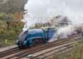 Photograph of BITTERN - 4464 BITTERN at Bluebell Railway on 01/11/15