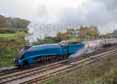 Photograph of BITTERN - 4464 BITTERN at Bluebell Railway on 01/11/15