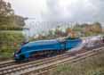 Photograph of BITTERN - 4464 BITTERN at Bluebell Railway on 01/11/15