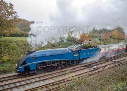 Purchase photo of 4464 BITTERN at Bluebell Railway