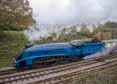 Photograph of BITTERN - 4464 BITTERN at Bluebell Railway on 01/11/15