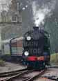 Photograph of CHELTENHAM - 925 CHELTENHAM at Bluebell Railway on 01/11/15