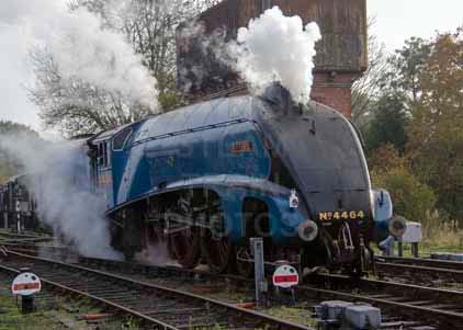 Purchase photo of 4464 BITTERN at Bluebell Railway