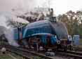Photograph of BITTERN - 4464 BITTERN at Bluebell Railway on 01/11/15