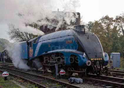 Purchase photo of 4464 BITTERN at Bluebell Railway