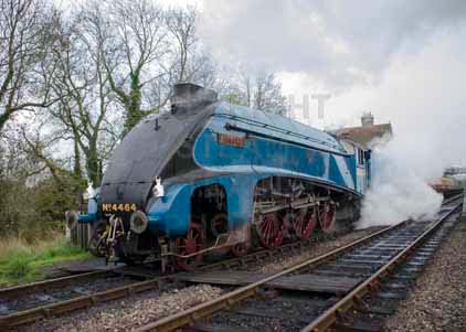 Purchase photo of 4464 BITTERN at Bluebell Railway
