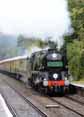 Photograph of CLAN LINE - 35028 CLAN LINE at Bradford On Avon on 11/09/13