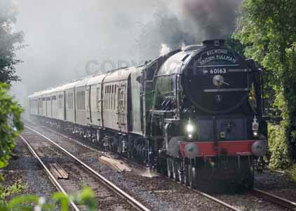 Purchase photo of 60163 TORNADO at Bradford On Avon