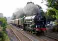 Photograph of TORNADO - 60163 TORNADO at Bradford On Avon on 07/09/16