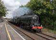 Photograph of DUCHESS OF SUTHERLAND - 46233 DUCHESS OF SUTHERLAND at Bramley on 23/09/17