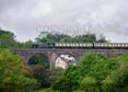 5239 GOLIATH Click to purchase photographs