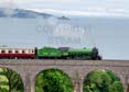 61306 MAYFLOWER Click to purchase photographs