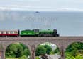 61306 MAYFLOWER Click to purchase photographs