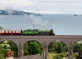 61306 MAYFLOWER Click to purchase photographs
