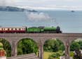 61306 MAYFLOWER Click to purchase photographs
