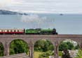 61306 MAYFLOWER Click to purchase photographs
