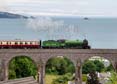 61306 MAYFLOWER Click to purchase photographs