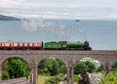 61306 MAYFLOWER Click to purchase photographs