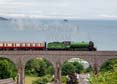 61306 MAYFLOWER Click to purchase photographs