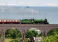 61306 MAYFLOWER Click to purchase photographs