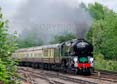 Photograph of CLAN LINE - 35028 CLAN LINE at Brookwood on 18/08/21