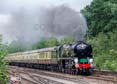 Photograph of CLAN LINE - 35028 CLAN LINE at Brookwood on 18/08/21