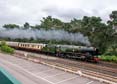 Photograph of CLAN LINE - 35028 CLAN LINE at Brookwood on 18/08/21
