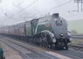Photograph of UNION OF SOUTH AFRICA - 60009 UNION OF SOUTH AFRICA at Cholsey on 16/02/19