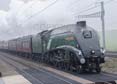 Photograph of UNION OF SOUTH AFRICA - 60009 UNION OF SOUTH AFRICA at Cholsey on 16/02/19