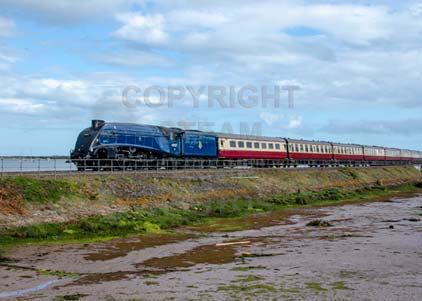 Purchase photo of 60007 SIR NIGEL GRESLEY at Cockwood Harbour