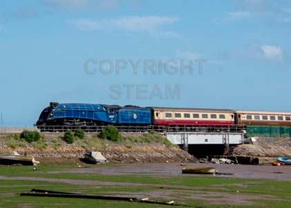 Purchase photo of 60007 SIR NIGEL GRESLEY at Cockwood Harbour