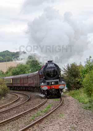 Purchase photo of 46201 PRINCESS ELIZABETH at Crofton