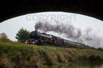 Purchase posters of 46201 PRINCESS ELIZABETH