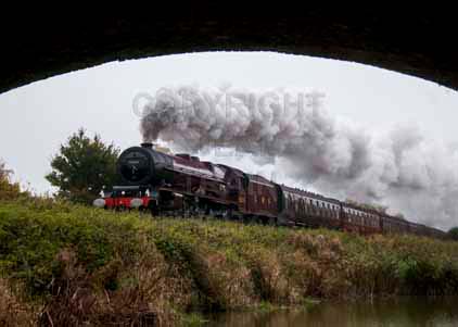 Purchase photo of 46201 PRINCESS ELIZABETH at Crofton
