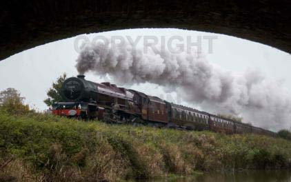 Purchase posters of 46201 PRINCESS ELIZABETH