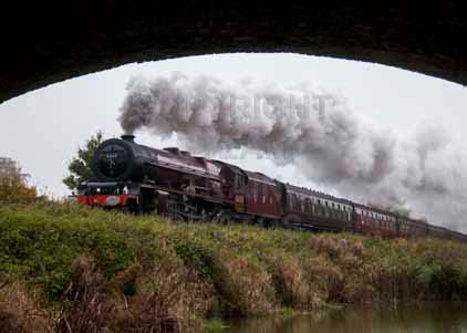 Purchase photo of 46201 PRINCESS ELIZABETH at Crofton
