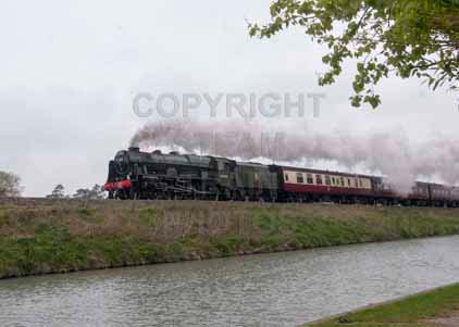 Purchase photo of 46100 ROYAL SCOT at Crofton