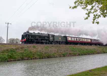 Purchase photo of 46100 ROYAL SCOT at Crofton