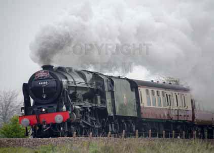 Purchase photo of 46100 ROYAL SCOT at Crofton