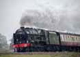 Photograph of ROYAL SCOT - 46100 ROYAL SCOT at Crofton on 20/04/17