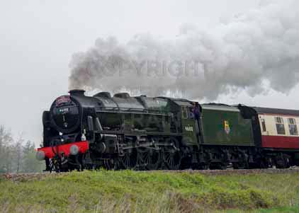 Purchase photo of 46100 ROYAL SCOT at Crofton