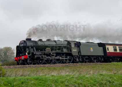 Purchase photo of 46100 ROYAL SCOT at Crofton