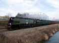 Photograph of TANGMERE - 34067 TANGMERE at Crofton on 07/03/15