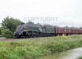 Photograph of UNION OF SOUTH AFRICA - 60009 UNION OF SOUTH AFRICA at Crofton on 18/08/18