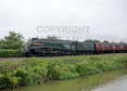 Photograph of UNION OF SOUTH AFRICA - 60009 UNION OF SOUTH AFRICA at Crofton on 18/08/18