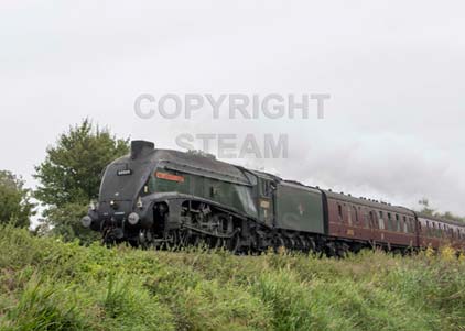 Purchase photo of 60009 UNION OF SOUTH AFRICA at Crofton