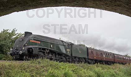 Purchase posters of 60009 UNION OF SOUTH AFRICA