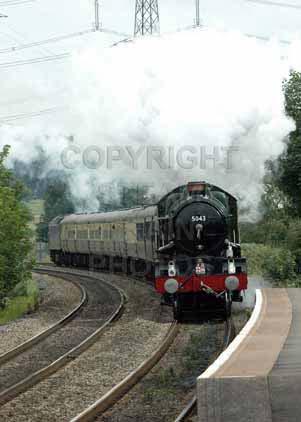 Purchase photo of 5043 EARL OF MOUNT EDGCUMBE at Culham